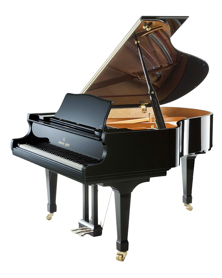 SK-2